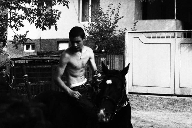 boy with horse